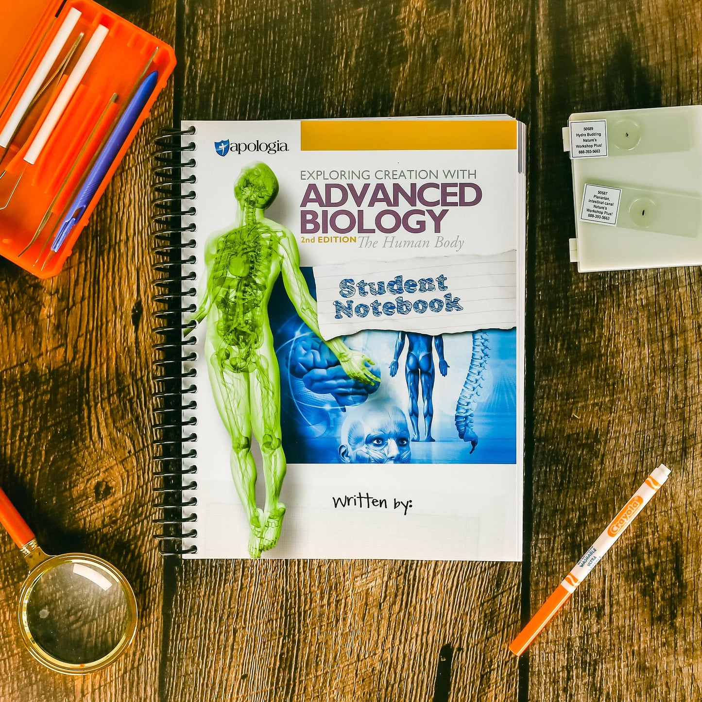 Apologia Exploring Creation with Advanced Biology: The Human Body Student Notebook 2nd ed, 9781940110387
