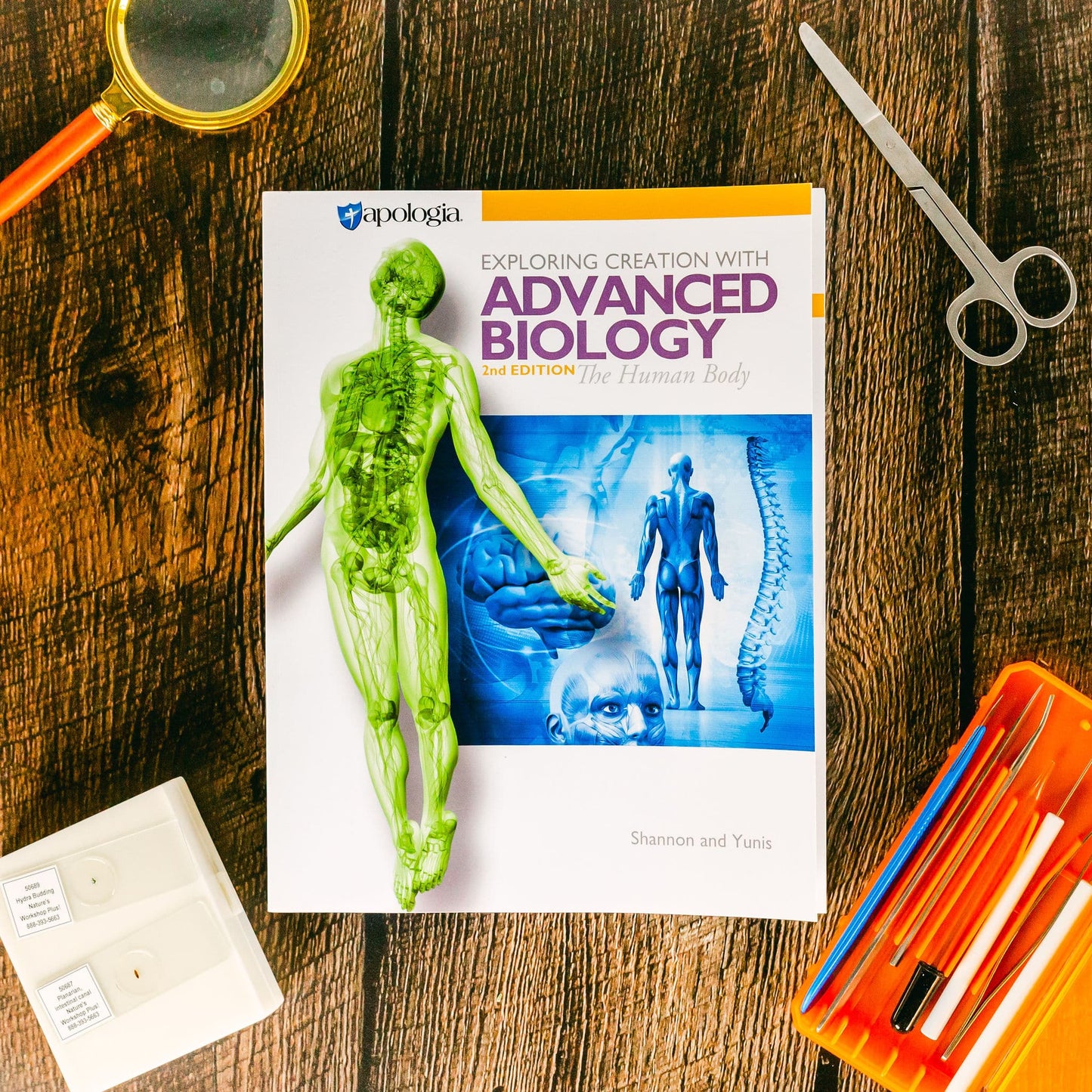 Apologia Exploring Creation with Advanced Biology: The Human Body, Textbook 2nd Edition, 9781946506603