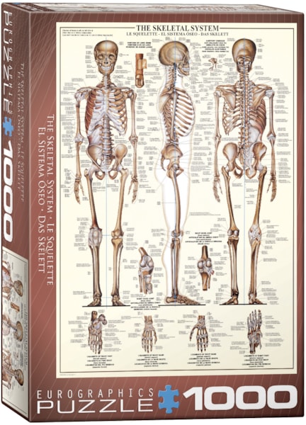 EuroGraphics The Skeletal System 1000-Piece Puzzle, 6000-3970