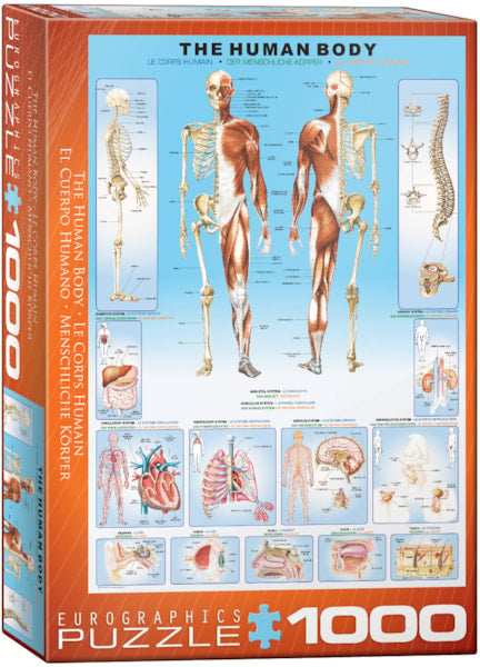 EuroGraphics The Human Body 1000-Piece Puzzle, 6000-1000
